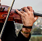 آواتار hossein.violinist