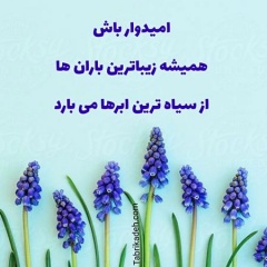 amir.1234 آواتار ها